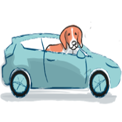 車の中に犬